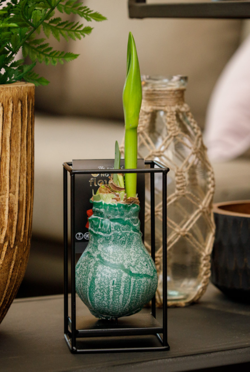 Amaryllis industrial groen sfeer
