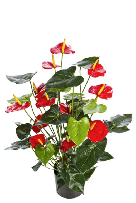 Anthurium kunstbloem