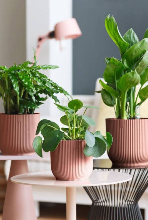 Elho vibes fold roze pot 4