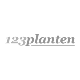 Kamerplant bloempot zilver