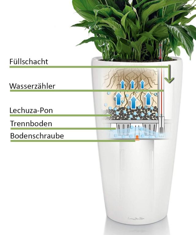 Hinweis lechuza Vase