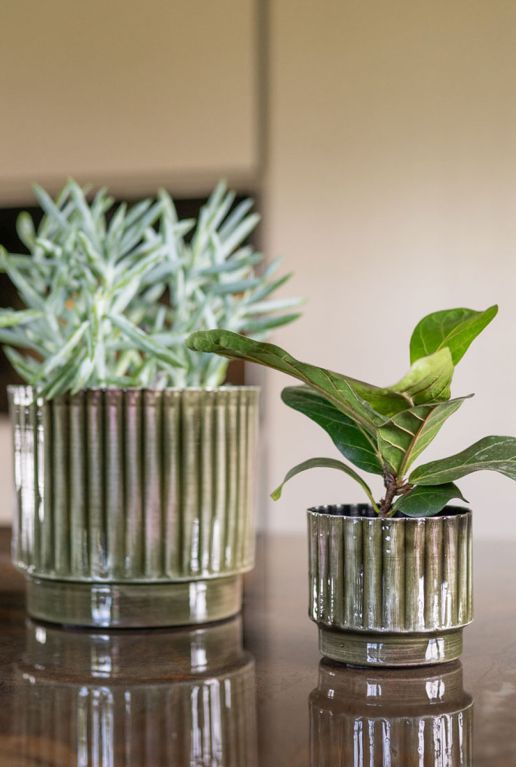 Nella pot groen planten