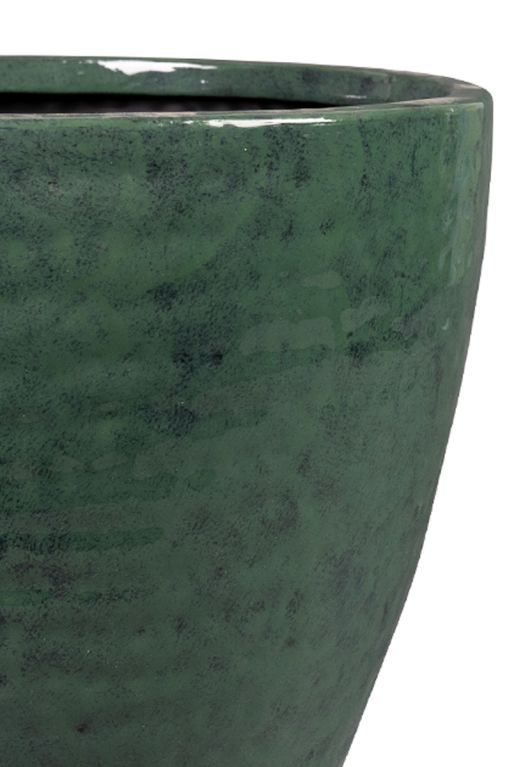 Monstera Siltepecana