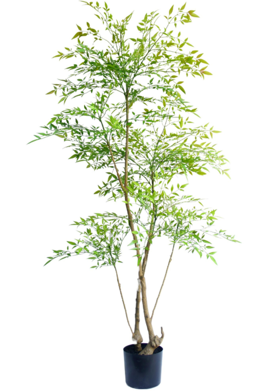 Ruscus kunstplant 150 cm