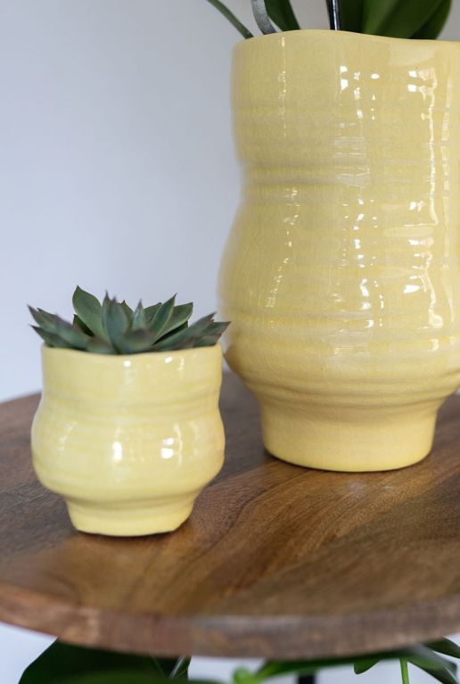 Veerle pot yellow plant