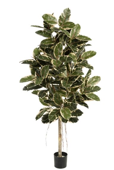 Ficus variagata kunstplant