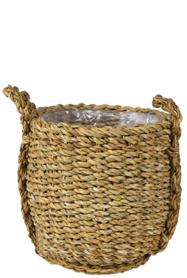 Kleine mand planten zeegras 1 1