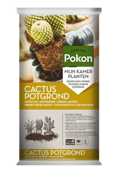 Pokon cactus potgrond