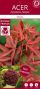 Syngonium Red Spot blad