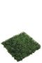 Buxus mat