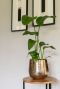 Carly bloempot goud strelitzia