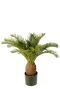 Cycas kunstplant