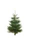 Kerstboom 100-125