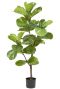 Kunst ficus tabaksplant groot