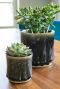 Nolan mini pot groen
