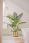 Phoenix palm kunstplant 160