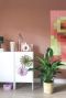 Spathiphyllum lepelplant witte bloem