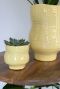 Veerle pot yellow plant