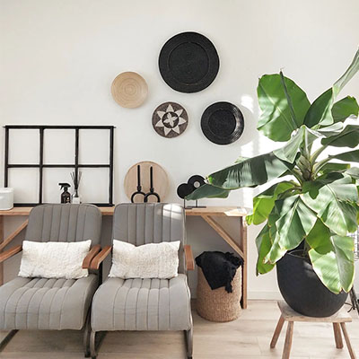 Bananenplant in pot woonkamer